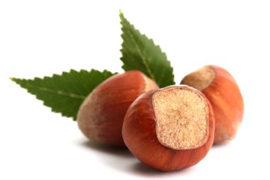 yapraklarla üzerine beyaz izole lezzetli fındık