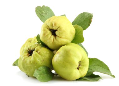 Yapraklı tatlı ayva, bembeyaz.