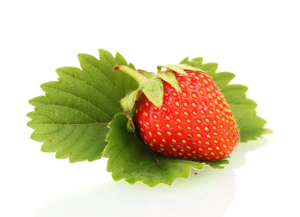 Sweet ripe strawberries with leaves isolated on white — Stock Photo, Image