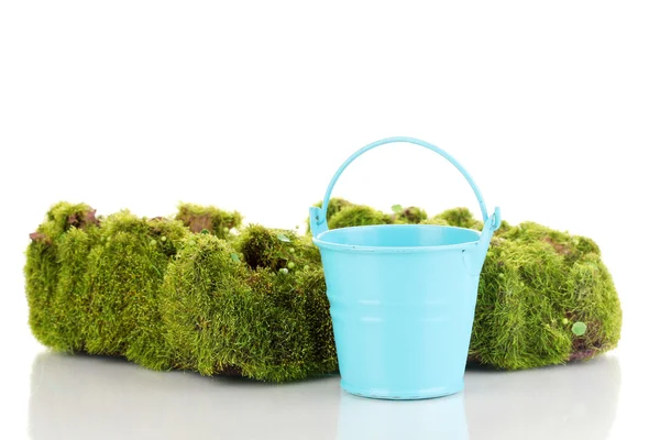 Zelený mech a plechový kbelík izolovaných na bílém — Stock fotografie