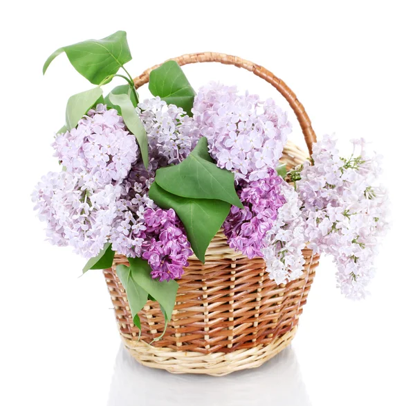 Krásné květy v košíku izolovaných na bílém — Stock fotografie