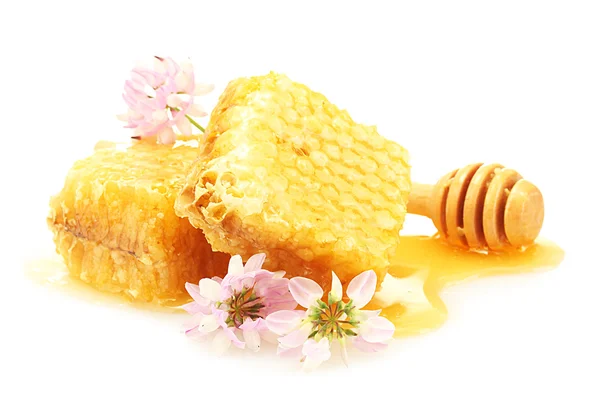 Golden honeycombs, wildflowers and wooden drizzler with honey isolated on white — Stock Photo, Image