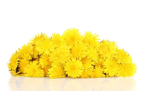 Many dandelion flowers isolated on white — Stock Photo, Image