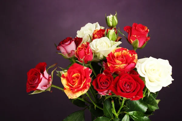 Strauß schöner Rosen auf lila Hintergrund Nahaufnahme — Stockfoto