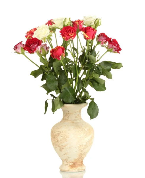 Piękne róże w wazonie na białym tle — Zdjęcie stockowe