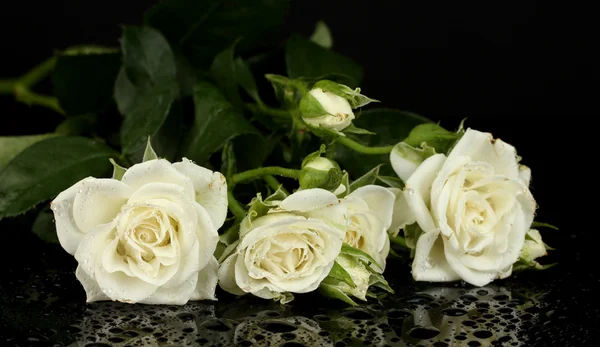 Красивые белые розы на черном фоне крупный план — стоковое фото