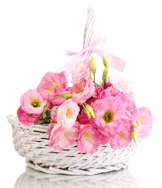 Bouquet de fleurs d'eustomie dans le panier, isolé sur blanc — Photo