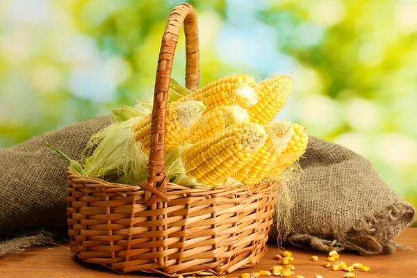 Čerstvé kukuřice v koši, na dřevěný stůl, na zeleném pozadí — Stock fotografie