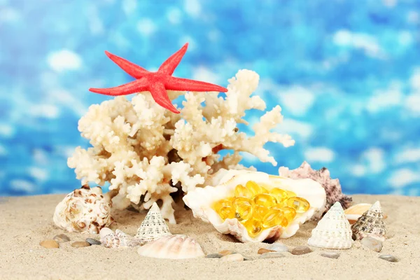 Rybí olej v shellu na modrém pozadí. myšlenka dary moře — Stock fotografie