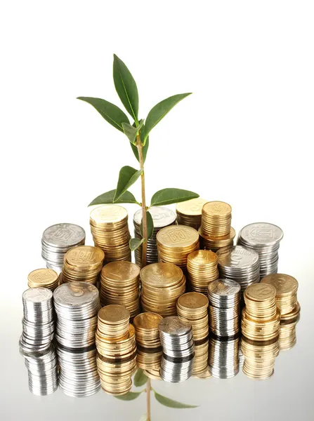 Plant groeit uit gouden en zilveren munten geïsoleerd op witte achtergrond close-up — Stockfoto