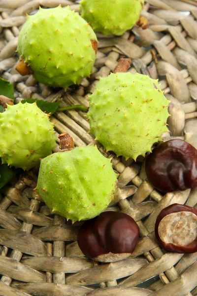 Green chestnuts on wicker background — Stock Photo, Image