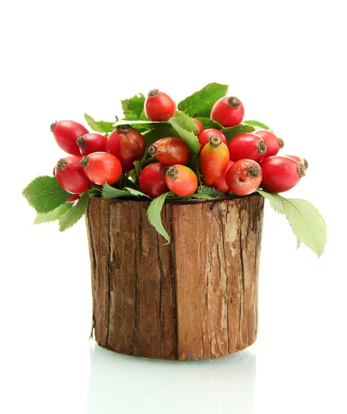 Ripe hip roses with leaves in wooden vase, isolated on white — Stock Photo, Image