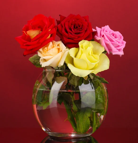 Mooie rozen in glazen vaas op rode achtergrond — Stockfoto