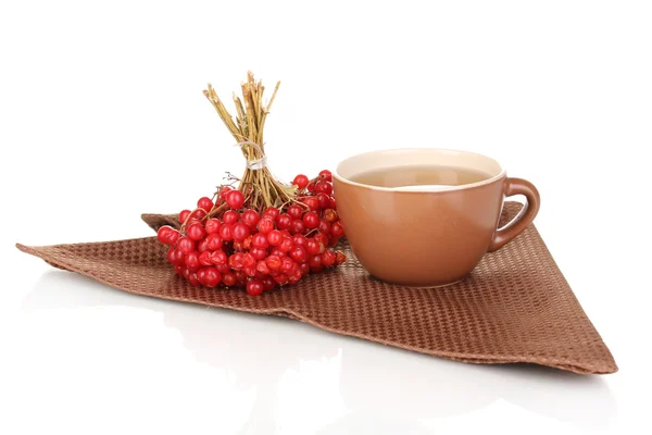Tea with red viburnum isolated on white — Stock Photo, Image
