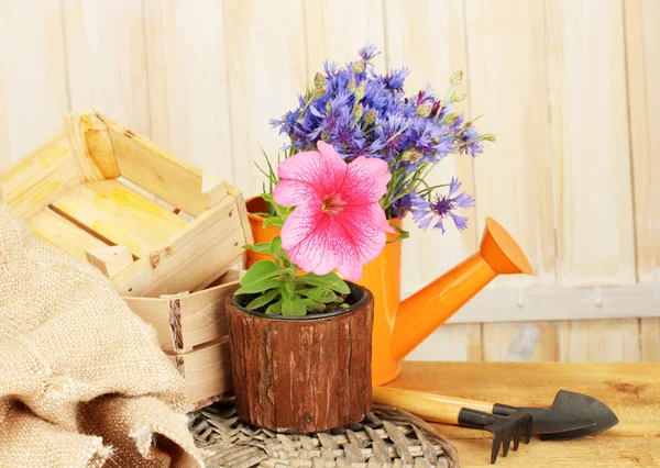 Regadera, herramientas y flores sobre fondo de madera — Foto de Stock