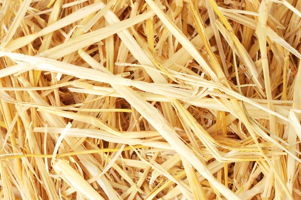 Golden straw texture background close-up — Stock Photo, Image