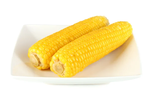 Főtt kukorica, szürke-fehér tányérra elszigetelt — Stock Fotó