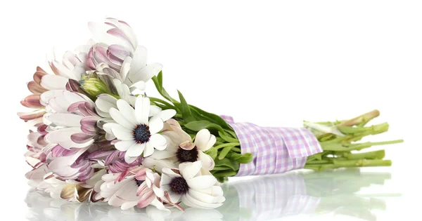 Ramo de hermosas flores de verano, aislado en blanco — Foto de Stock