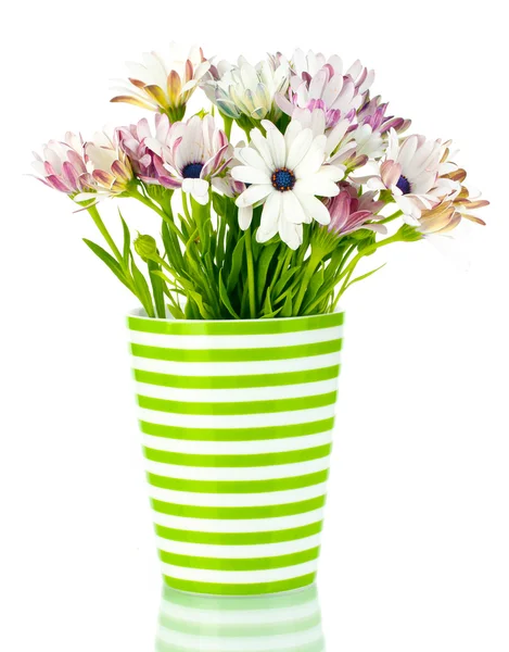 束美丽的夏天花的花瓶，孤立在白色 — 图库照片