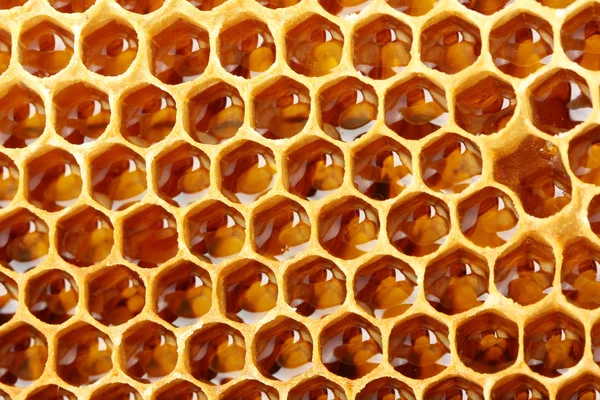 Gele mooie honingraat met honing, achtergrond — Stok fotoğraf