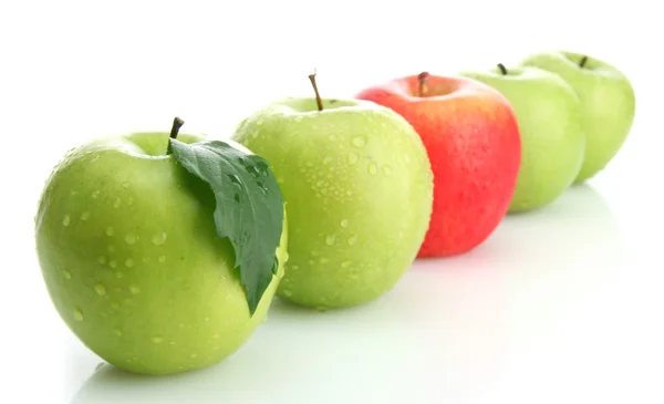 Manzanas verdes maduras y una manzana roja aislada en blanco —  Fotos de Stock