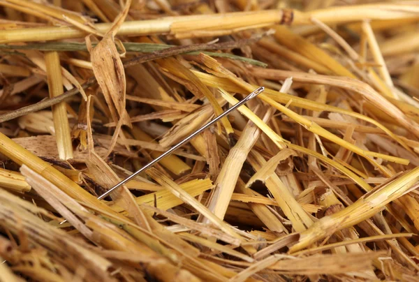 Needle in a haystack close-up — Stock Photo, Image