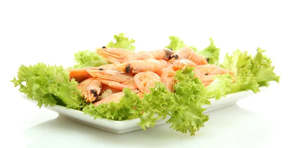 Crevettes bouillies avec feuilles de laitue sur plaque, isolées sur blanc — Photo