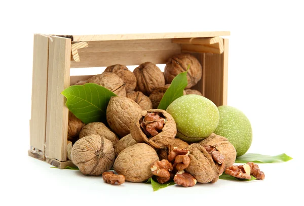 Walnuts with green leaves in woooden crate, isolated on white — Stock Photo, Image