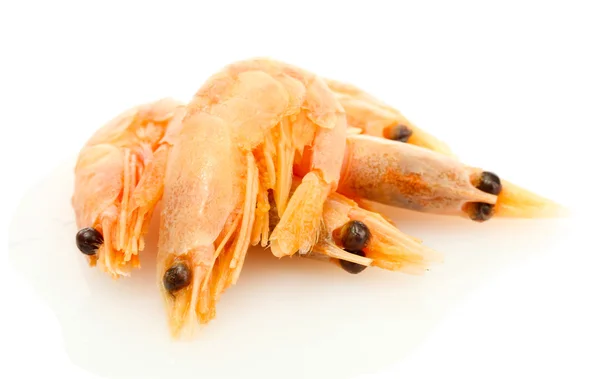 Camarones cocidos aislados en blanco —  Fotos de Stock