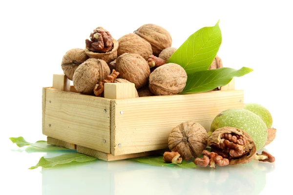 Nueces con hojas verdes en caja de madera, aisladas en blanco — Foto de Stock