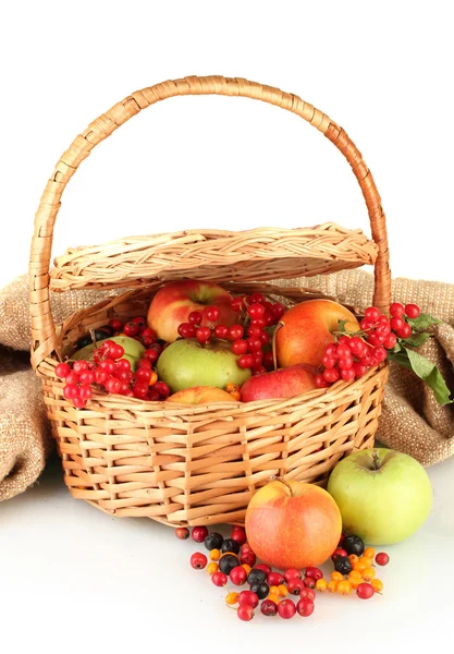 Cosecha de bayas y frutas en una canasta sobre fondo blanco de cerca — Foto de Stock