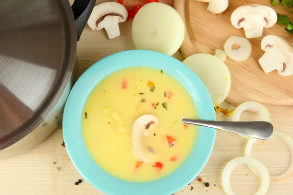 El proceso de la preparación la sopa con los ingredientes alrededor a la mesa el primer plano — Foto de Stock