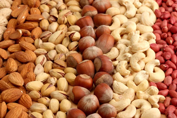 Valikoima maukkaita pähkinöitä, lähikuva — kuvapankkivalokuva