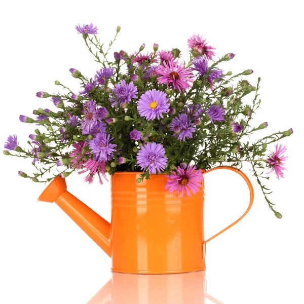 Beautiful bouquet of purple flowers in watering can isolated on white — Stock Photo, Image