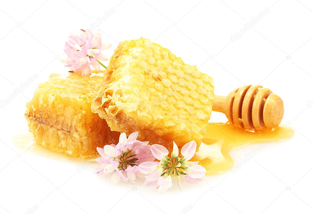 Golden honeycombs, wildflowers and wooden drizzler with honey isolated on white