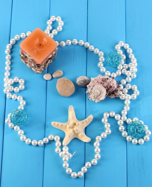 Decor of seashells close-up on blue wooden table — Stock Photo, Image