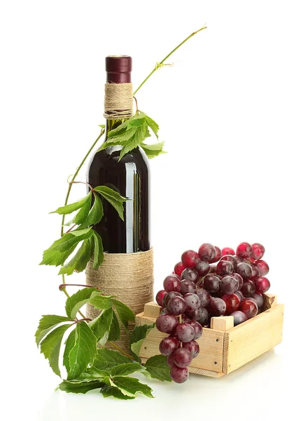 Bottle of wine with grapes isolated on white — Stock Photo, Image