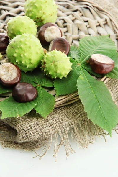 Chestnuts with leaves on burlap, isolated on white — Stock Photo, Image