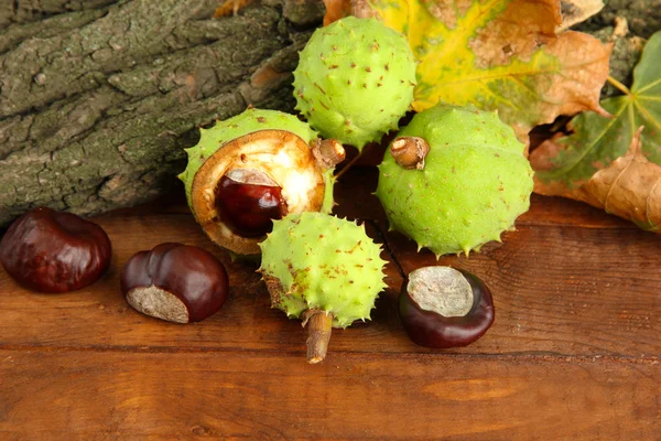 Kaštany s podzim sušené listy a kůra, na dřevěné pozadí — Stock fotografie