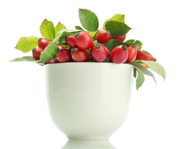 Mogen hip rosor med blad i cupen, isolerad på vit — Stockfoto