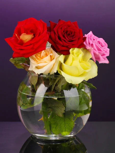 Beautiful roses in glass vase on purple background — Stock Photo, Image