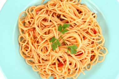 Italian spaghetti in plate close-up