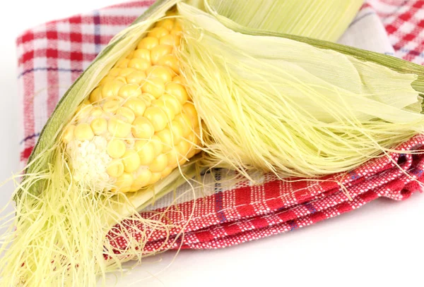 Fresh corn cob on napkin isolated on white — Stock Photo, Image