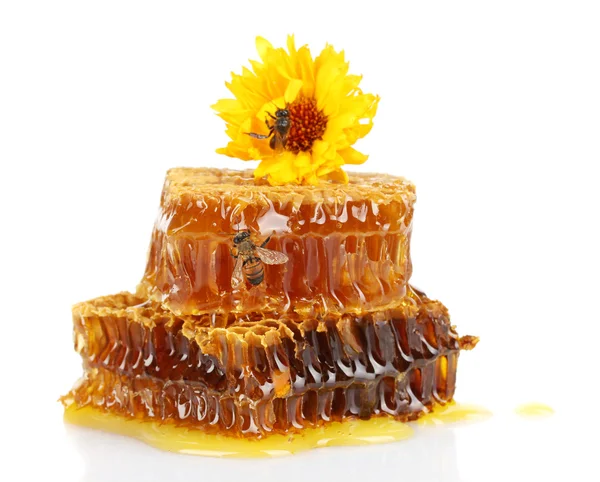 Sweet honeycomb with honey, bee and flower, isolated on white — Stock Photo, Image