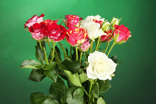 Bouquet of beautiful roses on green background close-up — Stock Photo, Image
