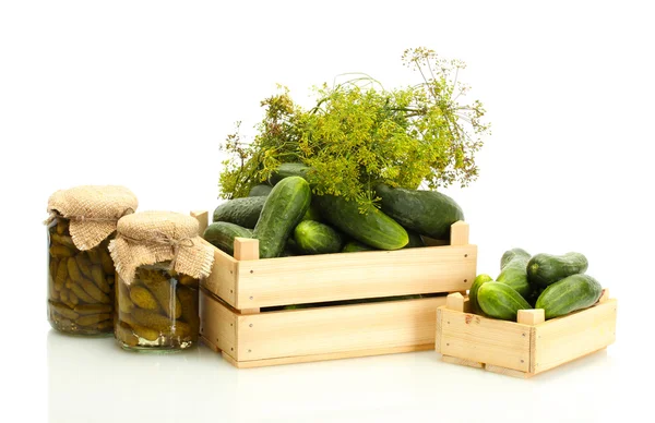 Fresh cucumbers in wooden boxes, pickles and dill isolated on white — Stock Photo, Image