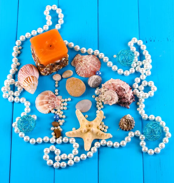 Decor of seashells close-up on blue wooden table — Stock Photo, Image