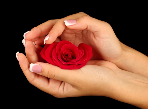 Червона троянда з жінкою — стокове фото