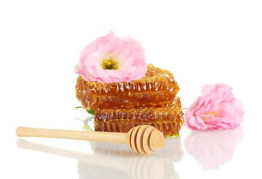 Bal ve üzerinde beyaz izole çiçeklerle peteğin