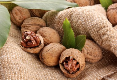 çuval bezi zemin üzerine yeşil yaprakları ile ceviz